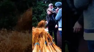 THE PRINCE AND PRINCESS OF WALES 001 #shorts #princewilliam #princesscat #princeofwales