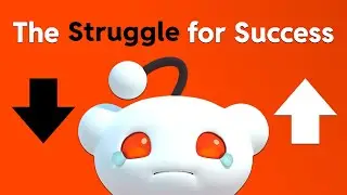 Reddit - The Struggle for Success