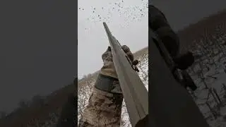 безумные стаи крякв #охота #охотанауток #охотанагусей