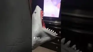 Shark puppet watches Benji on youtube