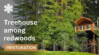 Airline exec builds observation tower treehouse as tiny home