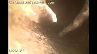 911 NE Dekum St  STB