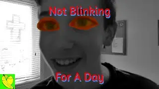A Day Without Blinking Is A Bad Day (But I Did It Regardless)