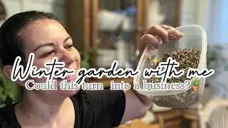 🪴 GETTING READY BEFORE OUR FIRST BIG SNOW STORM|| POPPY SEEDS EASY SOWING + CLEAN UP + MARYGOLDs