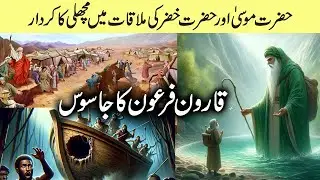 Moses Meets Khizar I An Interesting Story I Qarun's Treasure I When Moses Slapped the Angel of Death