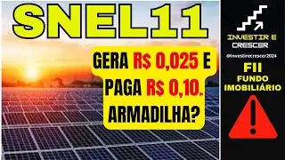 SNEL11: DIVIDENDOS REAIS OU ILUS&Atilde;O PERIGOSA?