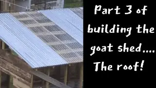 Why Goat Farmers Swear By This Roofing Combo: Tin Roof + Polycarbonate
