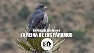 BioPodcast 08: La Reina de los Páramos