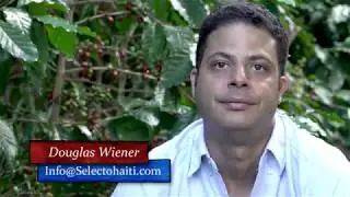 Haiti Coffee History and Geo Wiener S A - Cafe Selecto