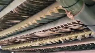 TETO DE PALHA, Arte Ind&iacute;gena 