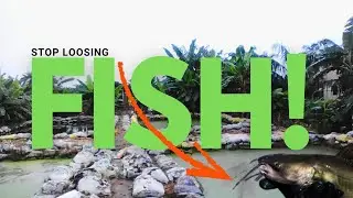 How to Know If Your Workers Are Stealing from Your Fish Pond!
