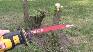 Real-Life Review of Diablo DS1203CP3 12-inch Pruning Blade w/ Carbide Teeth