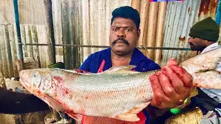 KASIMEDU SPEED SELVAM 🤯BIG SIZE INDIAN 🇮🇳 SALMON FISH CUTTING 🔪VIDEO FISHERMEN ENTERTAINMENT VIDEOS 