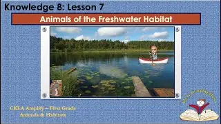 Kn 8 Ls 7 Animals Freshwater Habitat