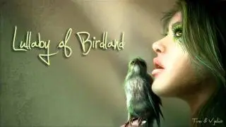 Lullaby of Birdland - Valentina Gyerek & Vjekoslav Pavlovic