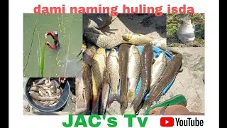 Creative Fishing Using Fishtrap __ Unique Fishing Technique