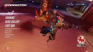 MY Overwatch settings ALL HEROES (PS4 CONSOLE)