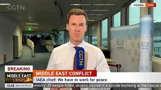 International Atomic Energy Agency holds talks in Vienna