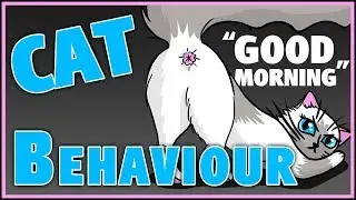 Morning cat behaviour SPEED ART - cheeky cat butt digital painting