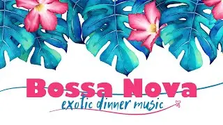 Best Latin Music for Exotic Dinner | Background Restaurant Music, Bossa Nova Jazz Instrumental ❤03