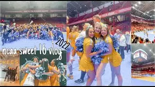 ncaa volleyball tournament wisconsin vlog (pitt cheer)