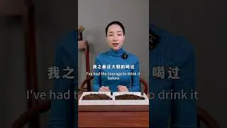Silver Nuggets and Old Tea Heads 碎银子和老茶头 #PuErhTea