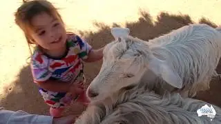 Dubbo Zoo