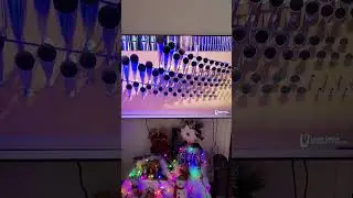 Organ performance by Kino at Loma Linda Church