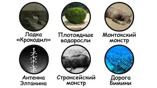 Тревожные факты про океан
