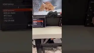 How to set hdmi out put on Sony camera