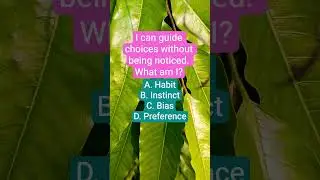 I can guide choices without being noticed. What am I?