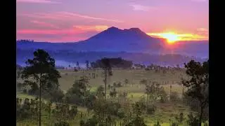 ทุ่งหญ้าสะวันน่าเมืองไทย อุทยานแห่งชาติทุ่งแสลงหลวง