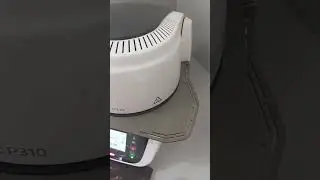 Ivoclar P310