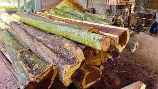 Rejeki NOMPLOK,!! Modal cuma 1.6 juta dapat kayu joar 1 truck lebih, digergaji 3x5 bahan kandang