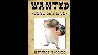 If you find him tag me