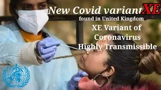 New Covid Variant XE Found in UK, More Transmissible Than Omicron WHO #who #xecovid #covid19