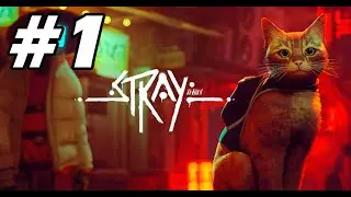 【Stray】猫になってサイバーシティを駆け抜けろ　※ネタバレ注意【初見実況LIVE】