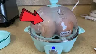 Dash Rapid Egg Cooker Review