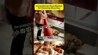 Touching Moments Between Pets and Their Humans#PawsAndHearts#PetLove#DogMoments#CatComfort