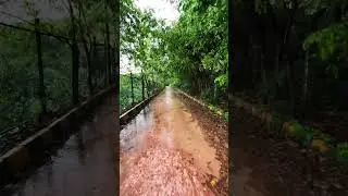 Rain Walk through Mud Path | Bangalore rain #rainwalk #rainsounds #bangalore #bangalorerain