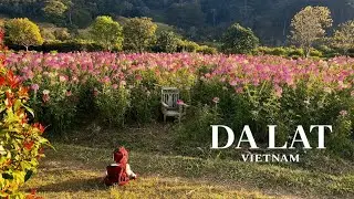 A Hidden Paradise You've Never Heard Of | Da Lat, Vietnam