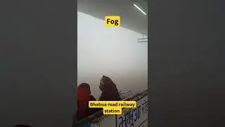 Too much fog in #bihar #fog #foggy #biharnews #careful #takecare #morning