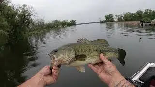 FLIPPING and PITCHING heavy cover and laydowns for BIG BASS - with my DAD.