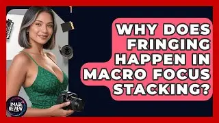 Why Does Fringing Happen In Macro Focus Stacking? - Image Review Studio