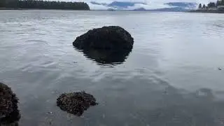 Eagles Roost in Petersburg AK
