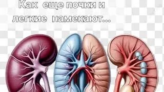 How do the kidneys and lungs hint at problems?! Hints in the video!