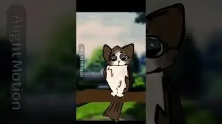 #alighitmotion #anima&ccedil;&atilde;o #animation #gato #coruja