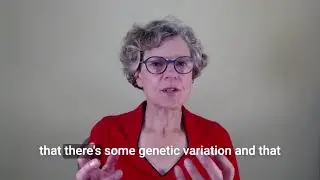 Are You Born a Night Owl? Genetics vs Environment in Sleep Patterns with Eleanor Stein, MD