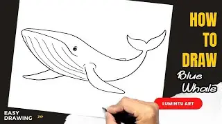How to draw Blue Whale - Easy Blue Whale Drawing