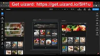 Digital wireframe- uizard